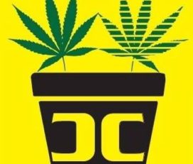 Canna Collective Dispensary – Closed