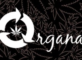 Organa Marijuana Wellness Centre