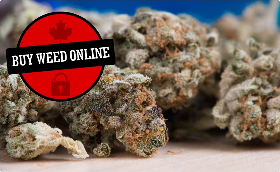 buy-weed-online-canada-marijuana-dispensaries-mom
