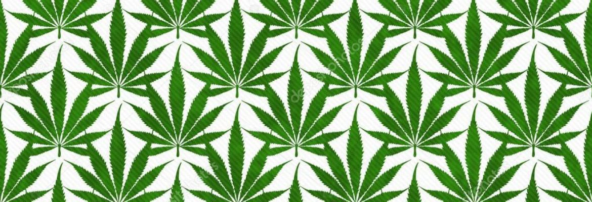 Cannabis Convenience Dispensary