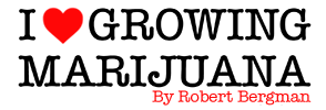 How to Grow Marijuana Robert Bergman