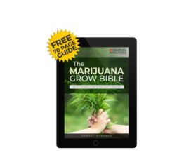 I Love Growing Marijuana – Guides, Seeds & Experts