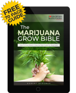Free marijuana grow bible Canada