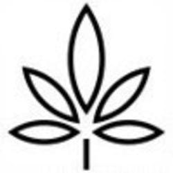 community-cannabis-clinic-dispensary-storefront0toronto-ontario-1