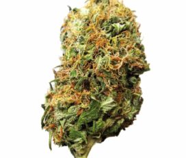 HighTides Medical Marijuana Dispensary