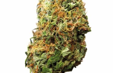 HighTides Medical Marijuana Dispensary