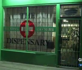 The Medicinal Cannabis Dispensary