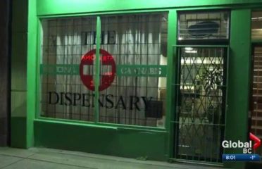 The Medicinal Cannabis Dispensary