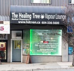 The Healing Tree Dispensary