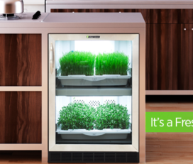 Urban Cultivator Hydroponics