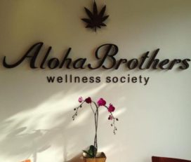 Aloha Brothers Wellness Society