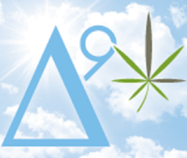 Delta 9 Lifestyle Cannabis Clinic