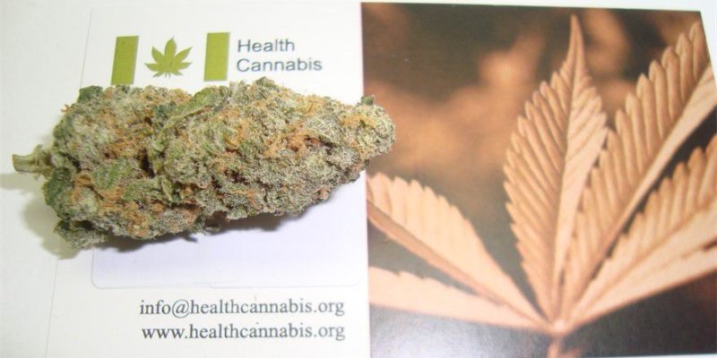 Health Cannabis Inc Newmarket
