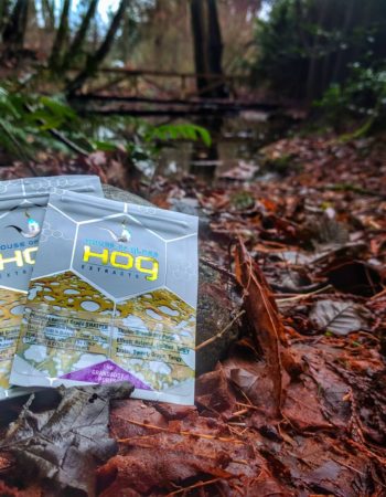 Hog-Extracts and House of Glass Shatter