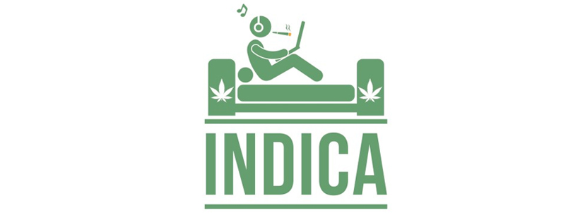 indica-meaning-types-of-cannabis