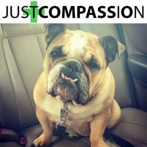 just-compassion-toronto-ontario-dispensary-storefront-0