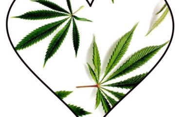 Kelz Medical Services Cannabis Dispensary