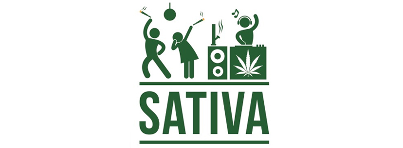 sativa-profile-energizing-and-stimulating-effect