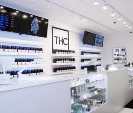 THC-The Healing Centre