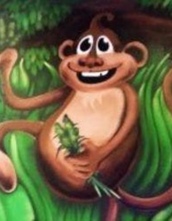 The Green Monkey Marijuana Dispensary