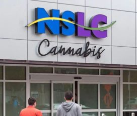 NSLC Cannabis Store Dartmouth – Portland Street