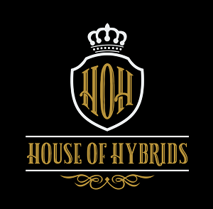 house-of-hybrids-lloydminster-retail-cannabis-storefront-alberta-03