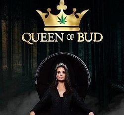 Queen of Bud