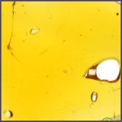speedgreens-shatter-deals-canada