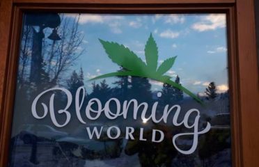 Blooming World Cannabis – Invermere