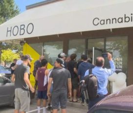 Hobo Cannabis Store – Kelowna