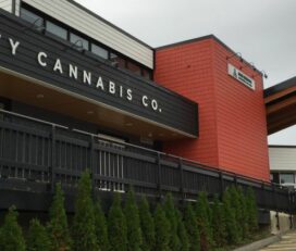 City Cannabis Co – Comox