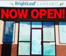 Brightleaf Cannabis – Sherwood Park