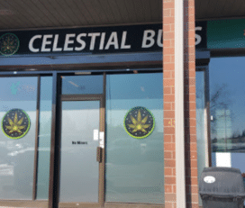 Celestial Buds – Calgary