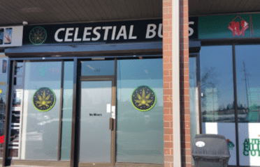 Celestial Buds – Calgary