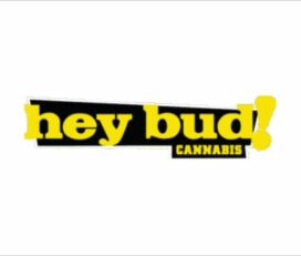 Hey Bud! Cannabis