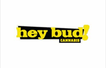 Hey Bud! Cannabis