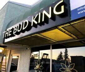 The Bud King Cannabis