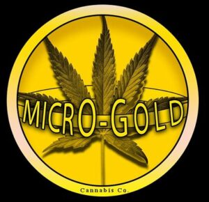 micro-gold-cannabis-okotoks