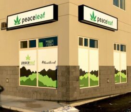 Peaceleaf Cannabis – Grande Prairie