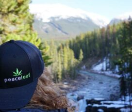 Peaceleaf Cannabis – High Prairie
