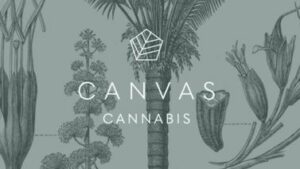 CANVAS-Cannabis-Mount Dennis