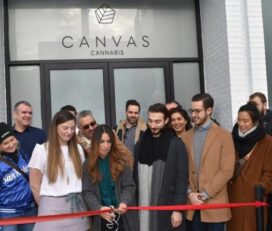 CANVAS Cannabis – Danforth