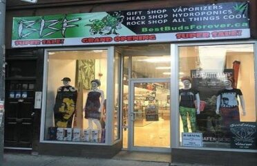 BBF’s – Best Buds Forever Head Shop Toronto