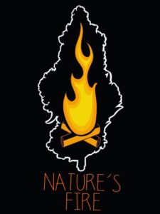 natures-fire-concentrates-wholesale-retail