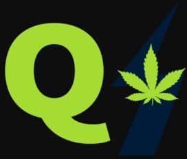 Quantum 1 Cannabis – Terrace