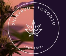 ShinyBud Cannabis Store – Toronto