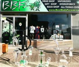 BBF’s – Best Buds Forever Head Shop Port Credit, Mississauga