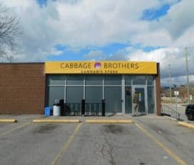 Cabbage Brothers Cannabis Store – Locke St, Hamilton