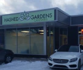Hashed Gardens Cannabis