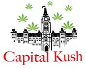 capital-kush-weed-delivery-ottawa